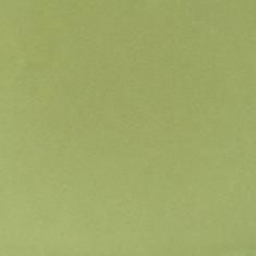 Gạch bông cổ điển Y145