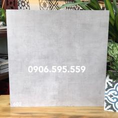 Gạch 60x60 VHP6602