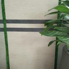 Gạch Kis 30x60 K603800