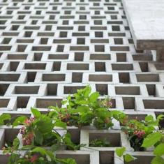 Gạch bông gió 20x20