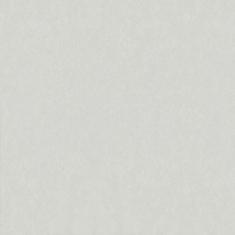 Gạch Taicera 60x60 G68025