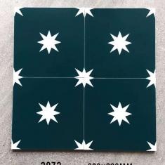 GẠCH BÔNG MEN 20x20- GẠCH BÔNG TRANG TRÍ
