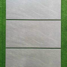 Gạch Ốp Tường 30x60 3646C
