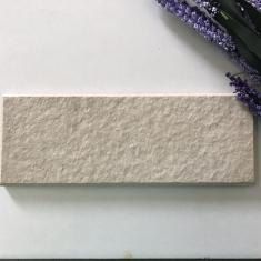 Gạch taicera TG 197x073-5282