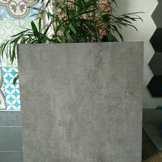 Gạch Royal 60x60 PP6001