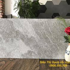 Gạch Eurotile 30x60  Hoa Đá D01