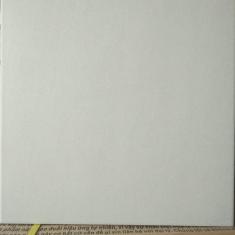 Gạch Taicera 30x30 G38925