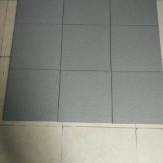 Gạch Taicera 30x30 G38528
